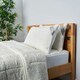 image 1 of BHS Teddy Bear Pillow Protector Pair
