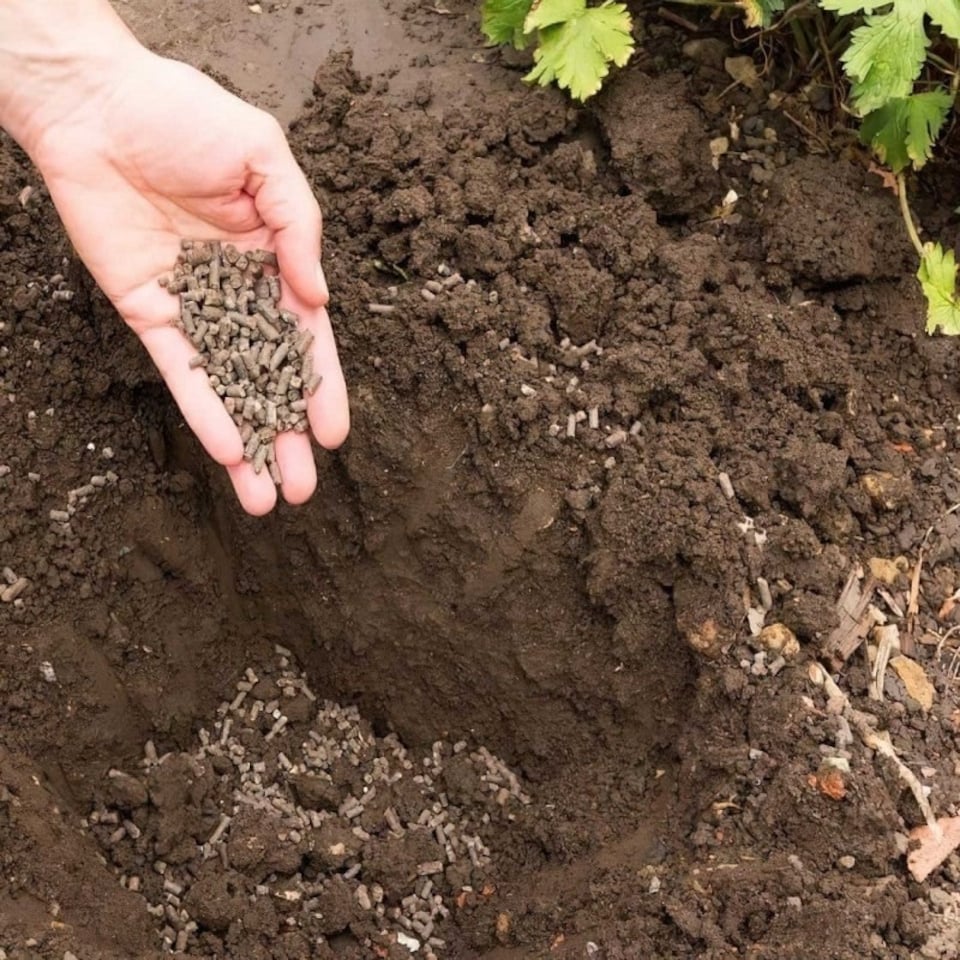 image 1 of Doff® Organic Chicken Manure
