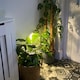 image 8 of Xtralite Omni Large Stick-On Motion Sensor LED Wall Light USB Rechargeable