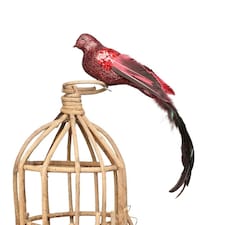 Large Decorative Red Paradise Bird With Clip - 35cm