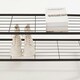 image 9 of Clothes Rail with Double Hanging & Shelves Black Metal Garment Rack Heavy Duty Black | One Size