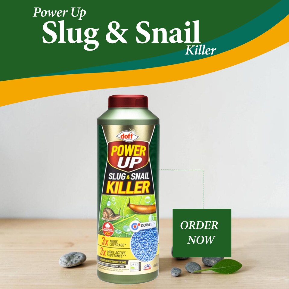 image 1 of Doff Power Up 650g Slug and Snail Killer 3 Times More Coverage Ferric Phosphate Formula Controls Slugs and Snails Easy to Use