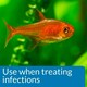 image 3 of API PIMAFIX Antifungal Freshwater and Saltwater Fish Remedy 237 ml Bottle