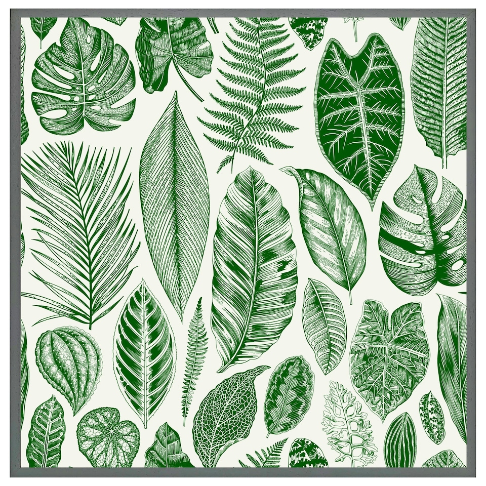 image 1 of Leaves mixed (Picture Frame) Black | XL