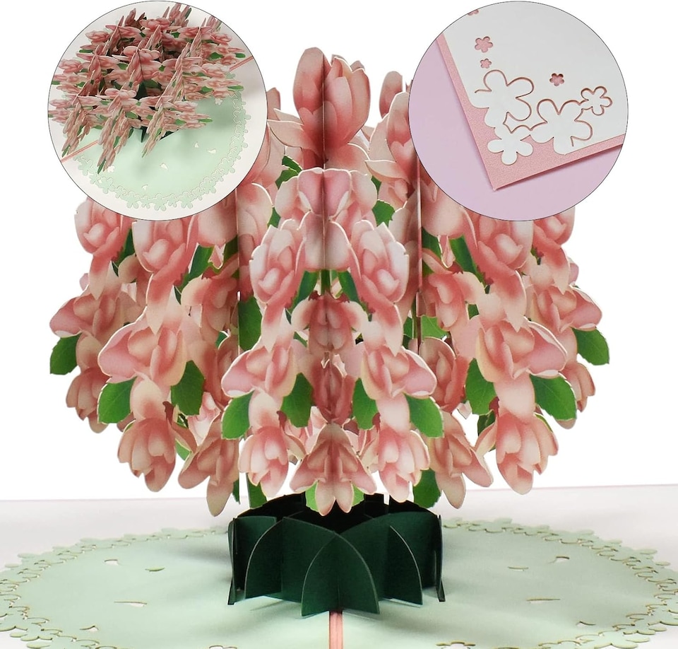 image 1 of Magnolia Blossom 3D Pop Up Greeting Card - Mother's Day Anniversary Birthday Get Well