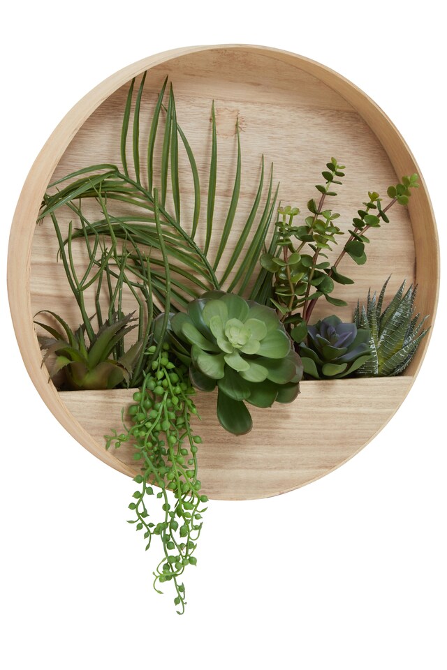 image 1 of Interiors by Premier Mixed Succulents In Wood Wall Planter, Faux Succulents In Round Wooden Frame, Farmhouse Wall Art | Cream