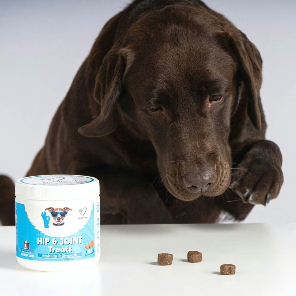 image 1 of Hip & Joint Treats