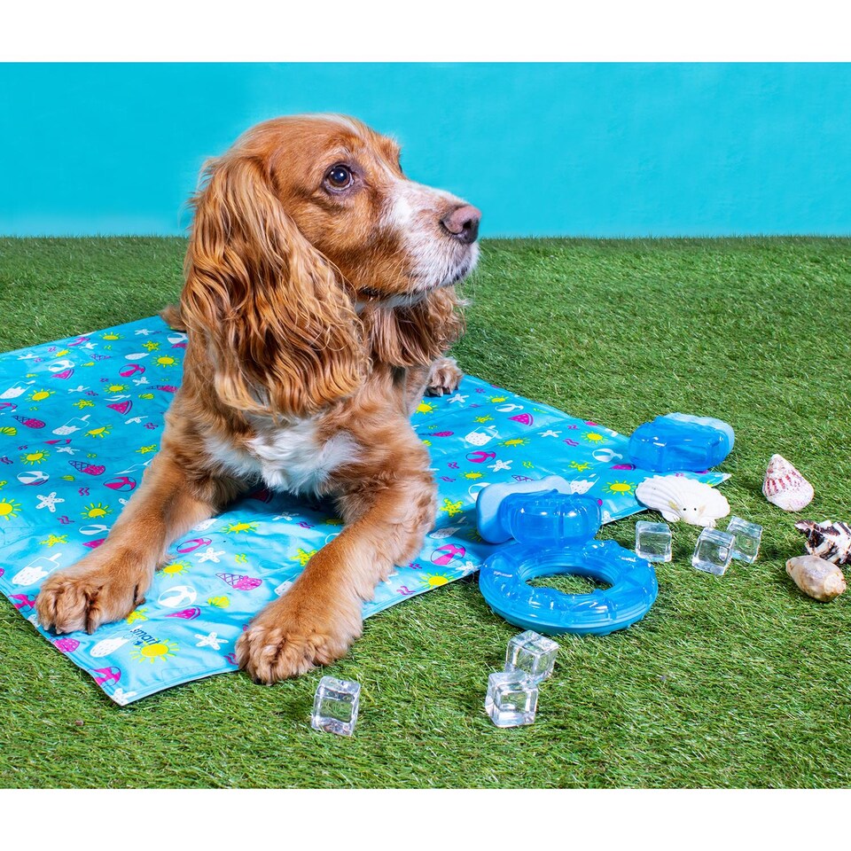 image 1 of Pack of 3 Summer Cooling Pet Toy - Ring, Dummy, Ice Lolly Shaped Dog Puppy Teething Chew Outdoor Play Freezable Durable Hydrating Teether Frozen