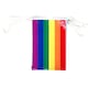 image 2 of Rainbow Pride Party Bunting Rectangle 10m with 20 Pennants