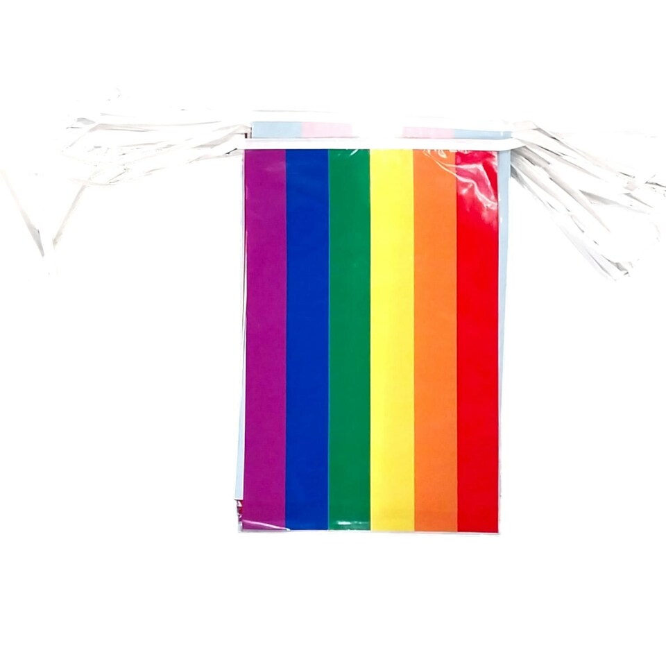 image 1 of Rainbow Pride Party Bunting Rectangle 10m with 20 Pennants