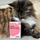 image 5 of Itch Cat Wormer Tablets for Cats 1kg+ 4 Tablets
