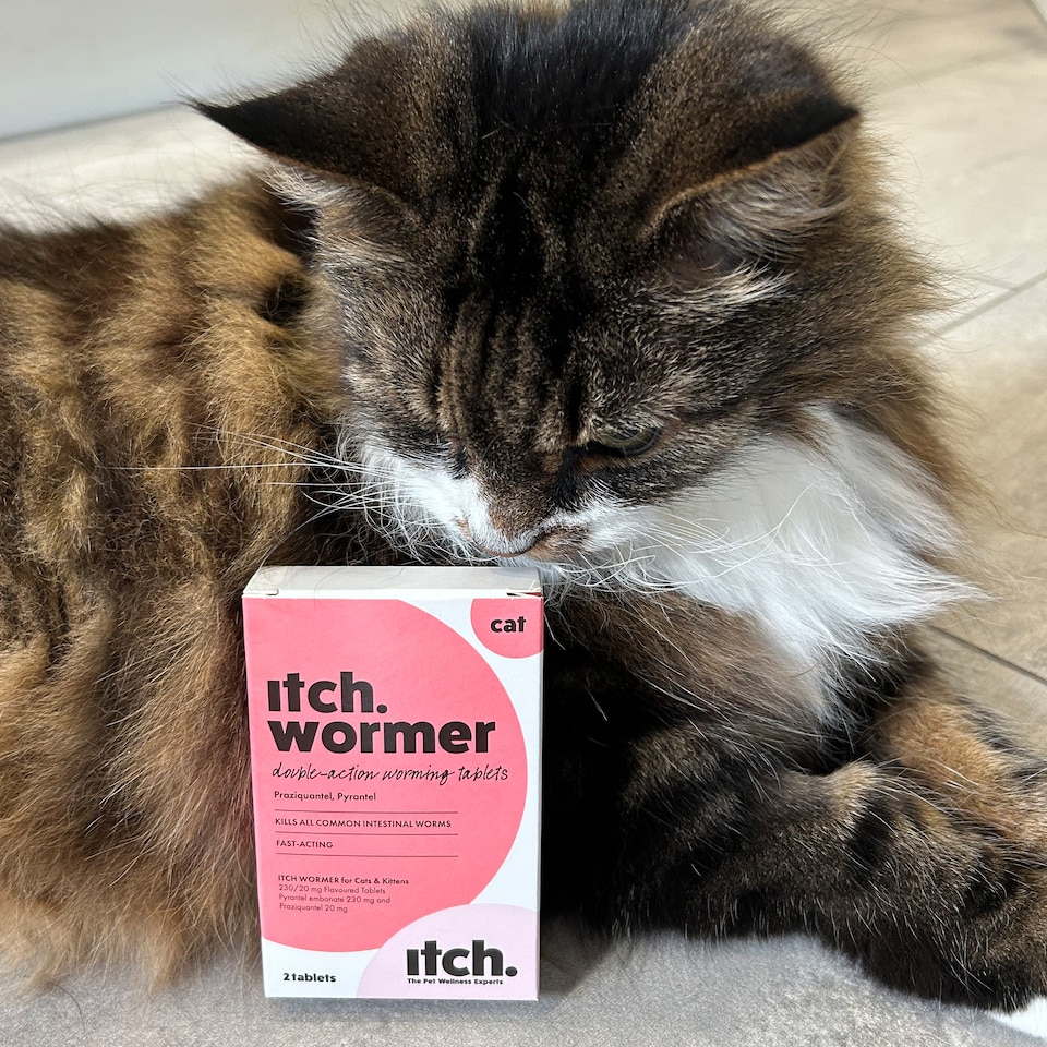 image 1 of Itch Cat Wormer Tablets for Cats 1kg+ 4 Tablets