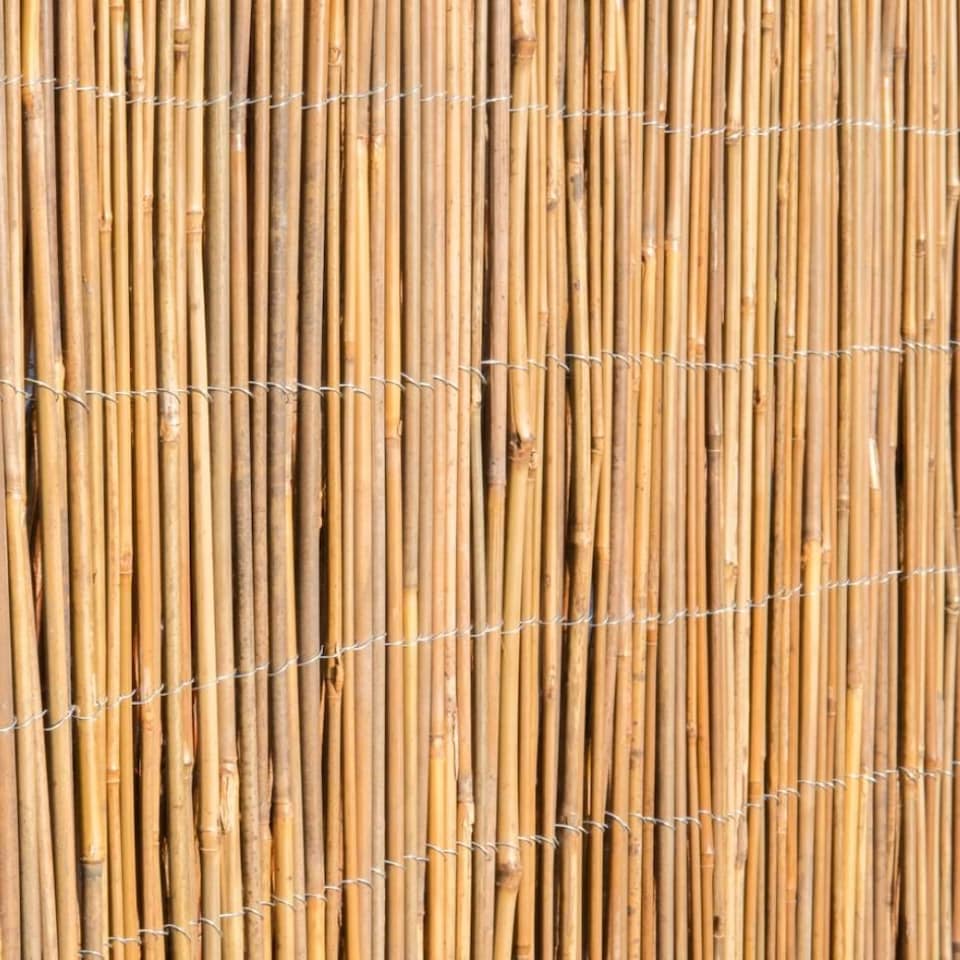 image 1 of Primrose Bamboo Cane Natural Garden Screening Roll Privacy Fencing Screen W4m x H2m | Brown | Brown