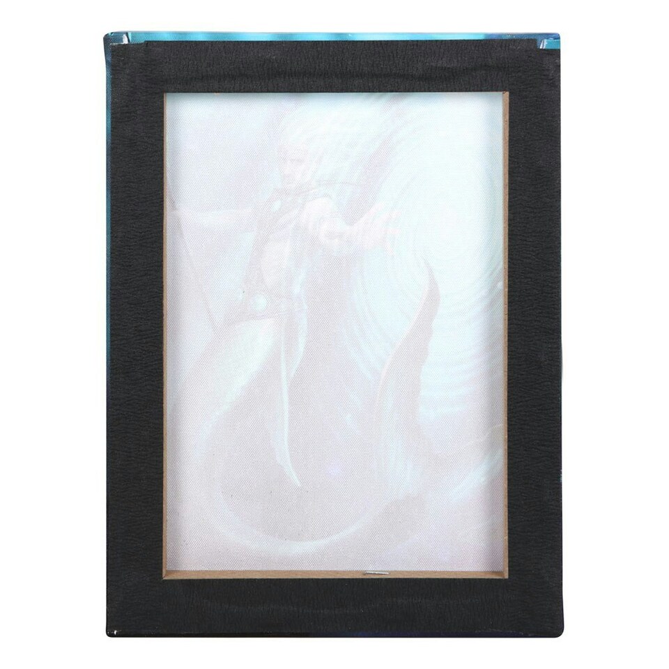 image 1 of Anne Stokes Water Elemental Wizard Canvas Plaque - Light Blue/Navy - 25cm x 19cm