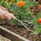 image 3 of Kent & Stowe Stainless Steel Hand 3 Prong Cultivator | Multi | One Size