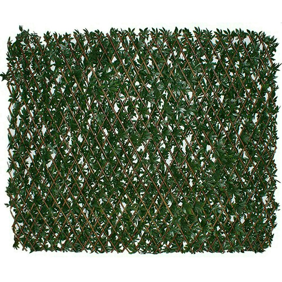 image 1 of Primrose Artificial Green Acer Extendable Trellis Privacy Screening 2m x 1m