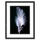 image 1 of Photo Modern Black White Feather Bird 12x16" Framed Wall Art Print