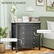 image 5 of HOMCOM Fluted Bedroom Chest of Drawers w/ 5 Drawers Gold Tone Handles Black
