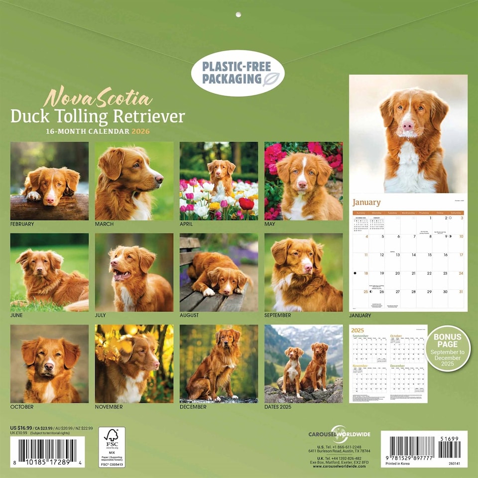 image 1 of Nova Scotia Duck Tolling Retriever Calendar 2026, Wall Calendars, Month To View, Dogs, Gift