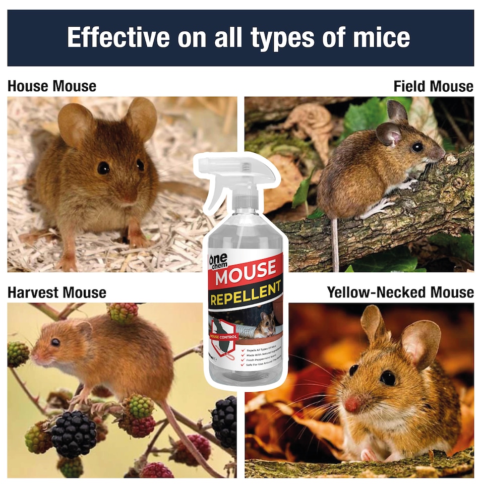 image 1 of One Chem Mouse Repellent 2 x 500ml - Peppermint Scent - Anti-Rodent Solution for Home & Garden - Indoor & Outdoor Use