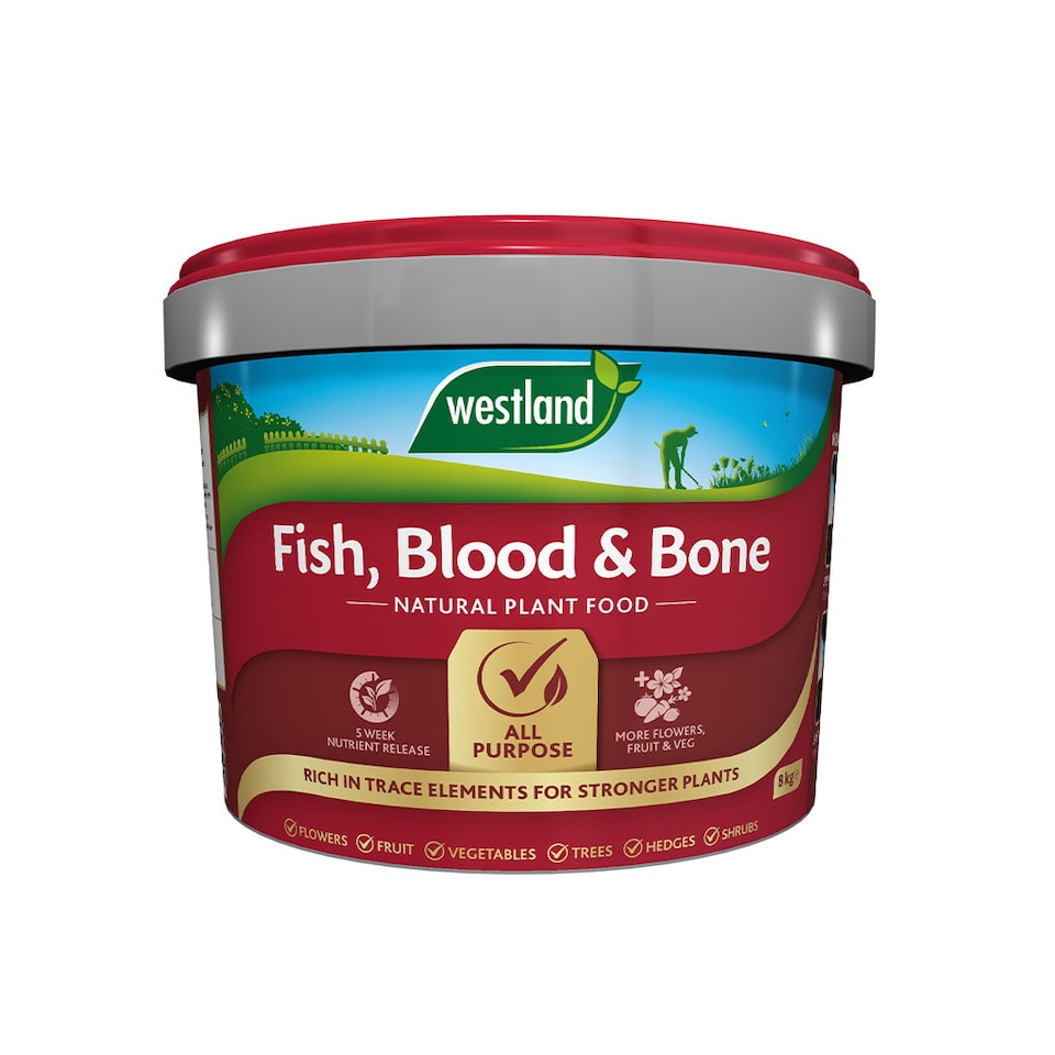 image 1 of Westland Fish, Blood & Bone Natural Plant Food Fertiliser NPK 3-9-3 8kg bucket