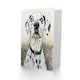image 2 of Greeting Card Sweet Gazing Dalmatian Dog Lover Watercolour Birthday
