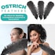 image 4 of 50cm - 60cm Large Ostrich Feathers, Showgirl Spadones - 5pcs