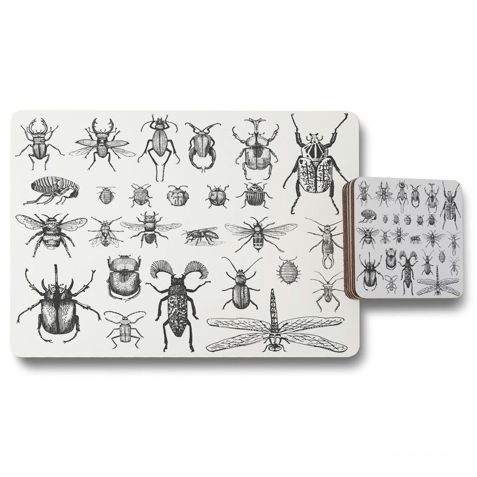 image 1 of big set of insects bugs beetles and bees, fleas many species in vintage old hand drawn style (Placemat & Coaster Set)
