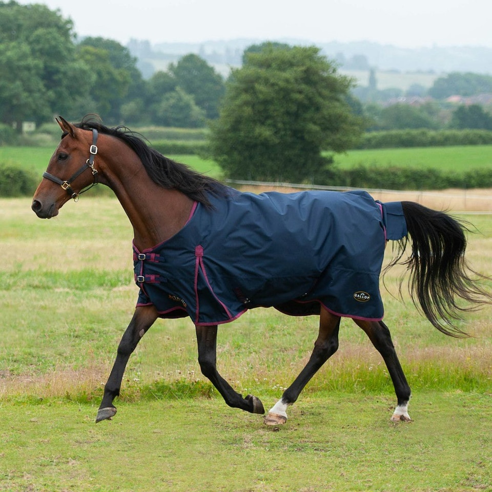 image 1 of Gallop Equestrian Trojan 50 Standard Turnout Red | Size: 6ft 0
Colour: Navy/Red