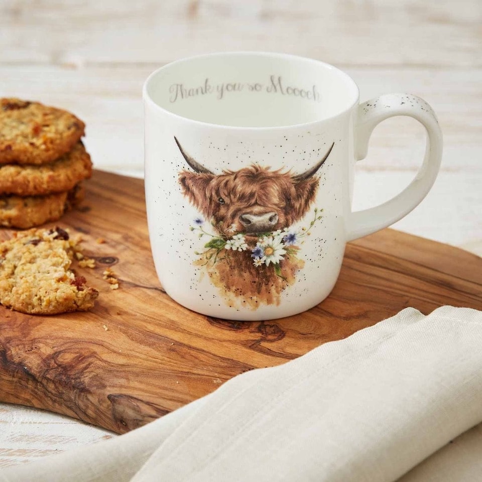 image 1 of Wrendale Designs Royal Worcester Thank You So Moooch Highland Cow Gift Boxed Mug