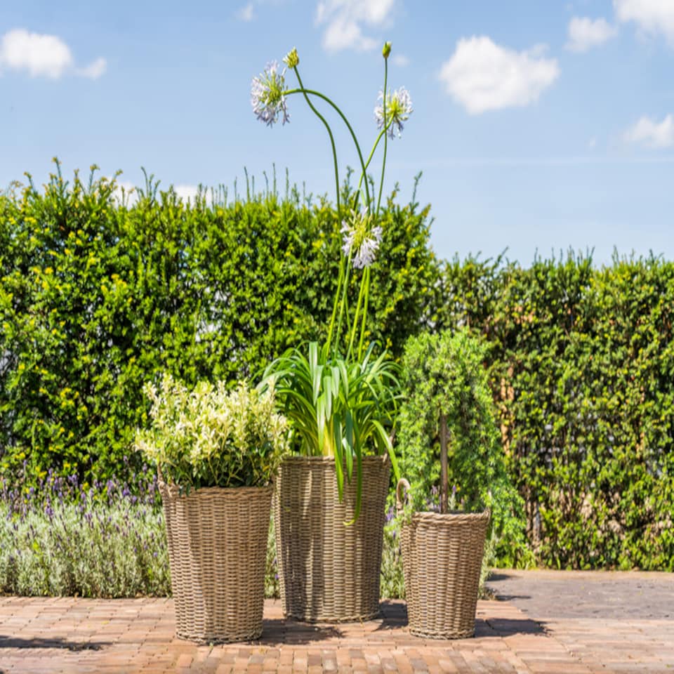 image 1 of Lined Planter - Polyrattan - L44 x W44 x H49 cm - Natural | Brown