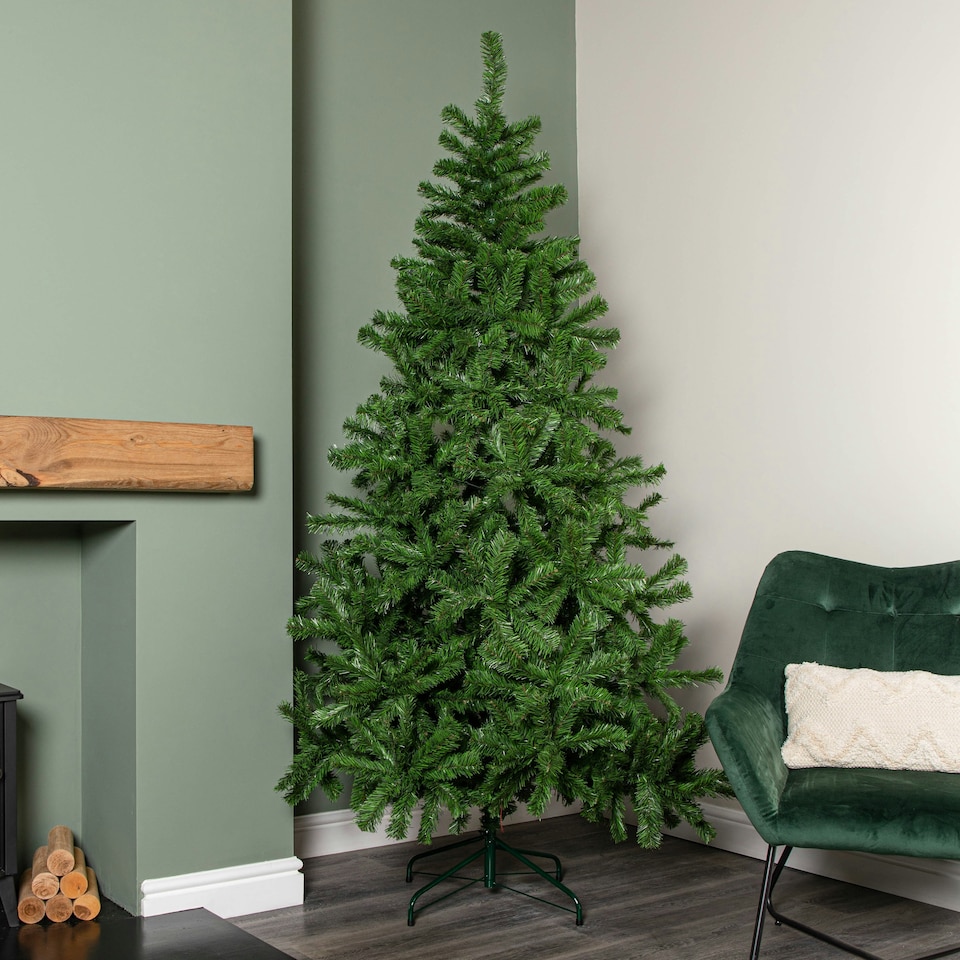 image 1 of 7ft Colorado Spruce Christmas Tree in Green with 763 tips Green | One Size