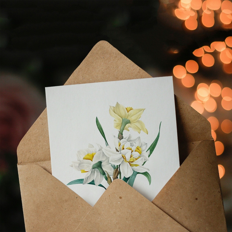 image 1 of Pierre-Joseph Redouté Art Card Daffodil Vintage Floral Illustration