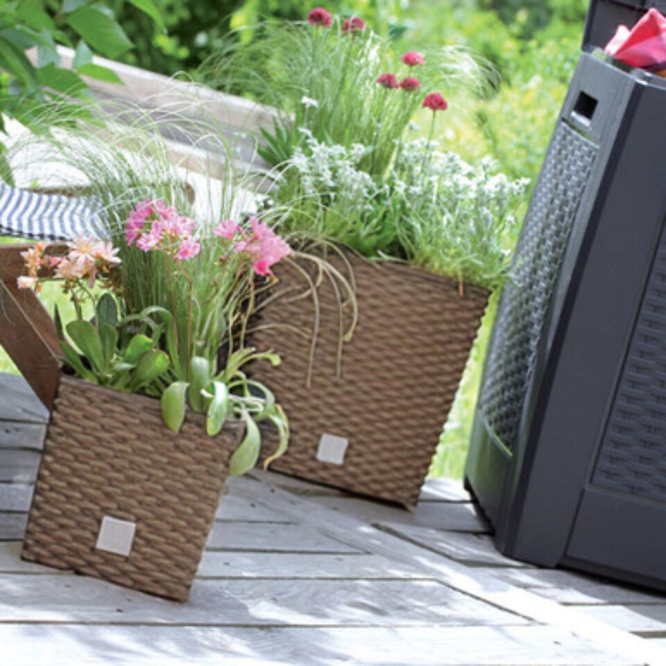 image 1 of 17cm Rato Rattan Design Plant Pots Square -1-2 Pack | Brown | Brown & Set of 1 | 1