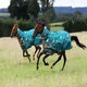 image 2 of Gallop Equestrian Dogs Print 200G Combo Turnout Rug Blue | 6ft 0