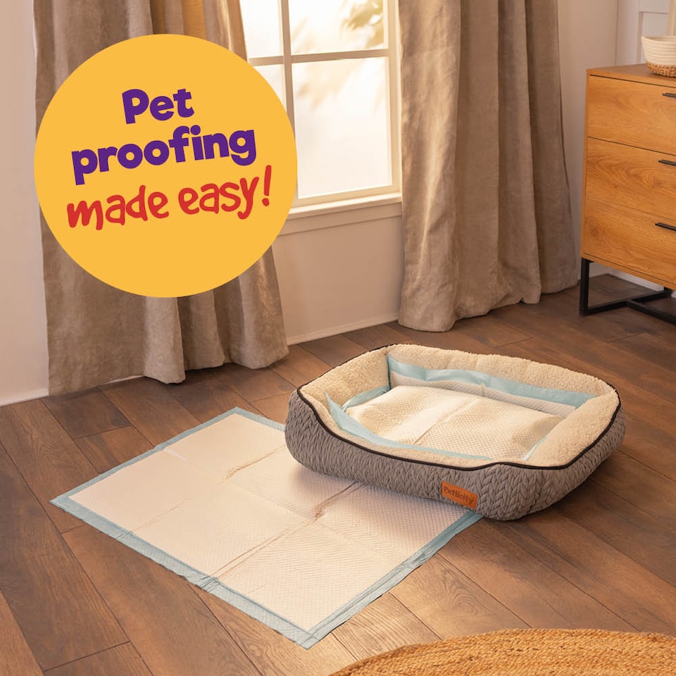 image 1 of Puppy Dog Kitten Toilet Training Pads Pack of 50 Medium