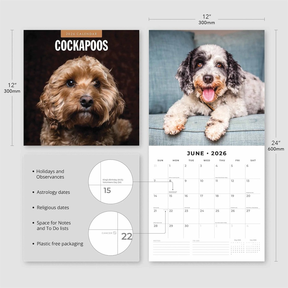 image 1 of Cockapoos Calendar 2026, Wall Calendars, Month To View, Dogs, Gift