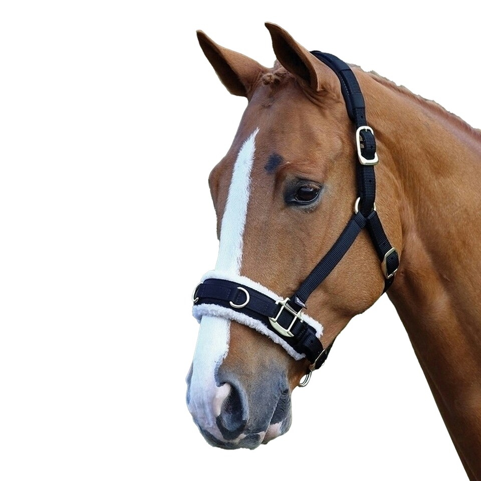 image 1 of Shires Fleece Lined Horse Lunge Cavesson - Black - X Full