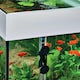 image 3 of Oase HeatUp Aquarium Heater 250 - 23 x 370 mm
