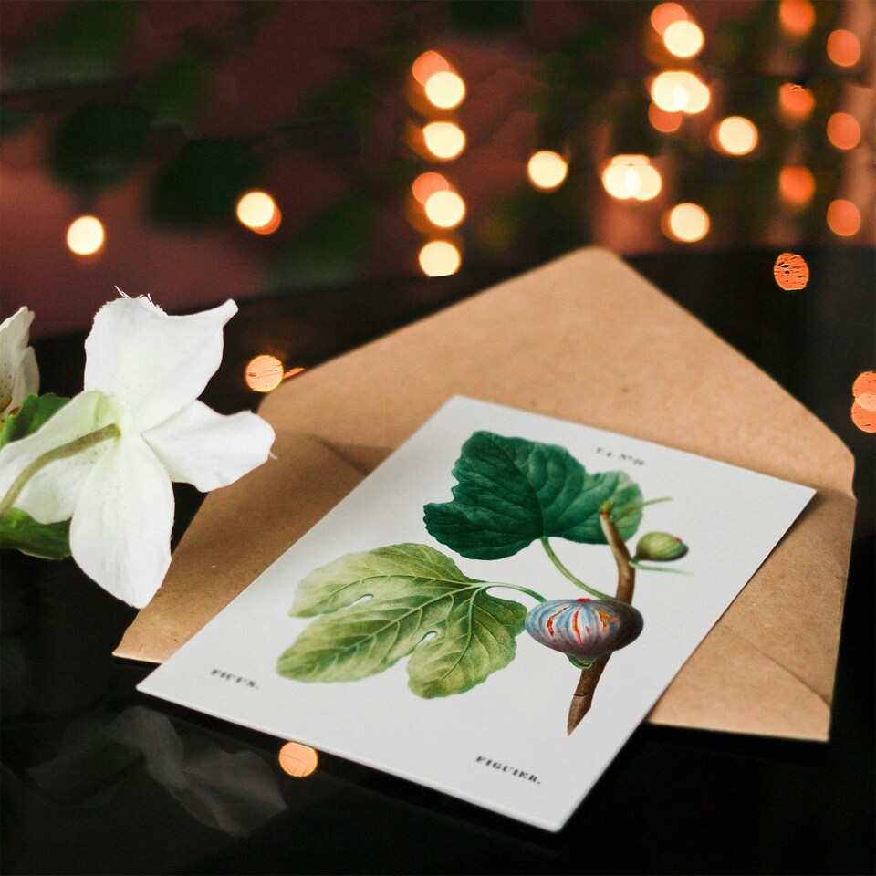 image 1 of Pierre-Joseph Redouté Art Card Vintage Botanical Ficus Carica Fig