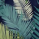 image 3 of Fusion Tropical Cushion Cover Multi