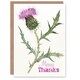 image 1 of Single Scottish Thistle Flower Bloom Watercolour Thank You Card