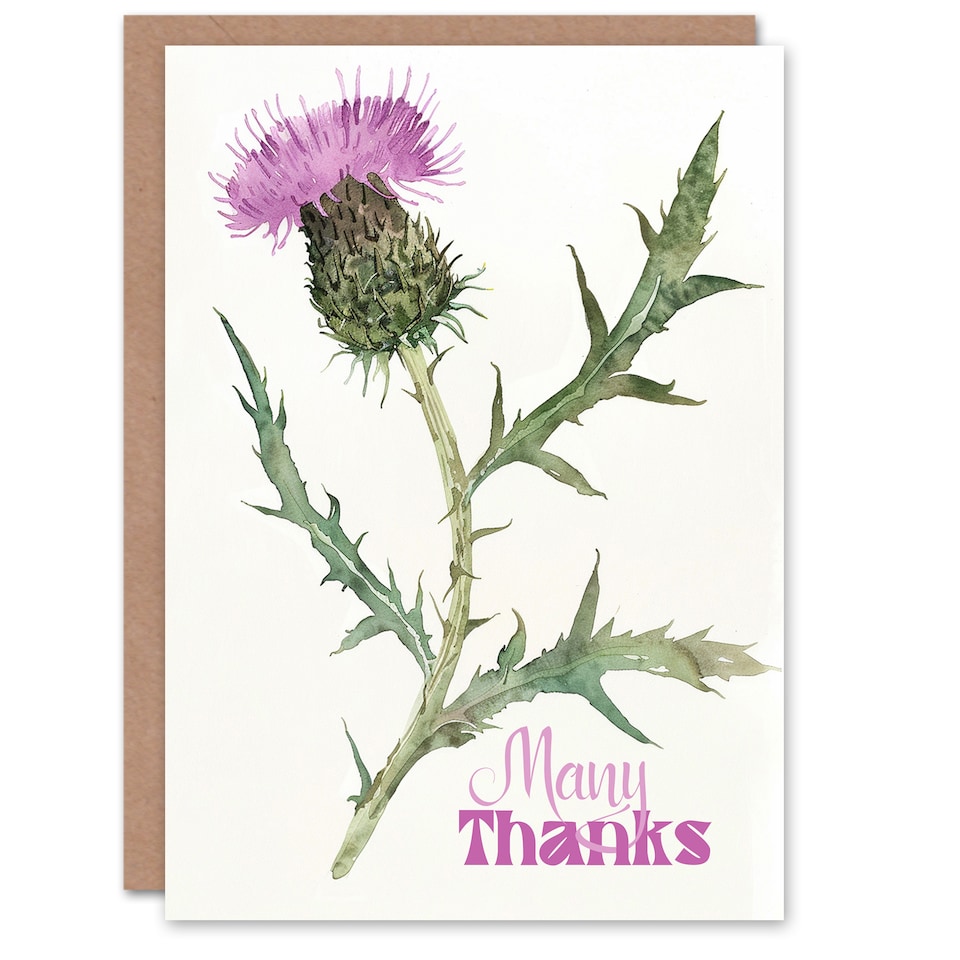 image 1 of Single Scottish Thistle Flower Bloom Watercolour Thank You Card