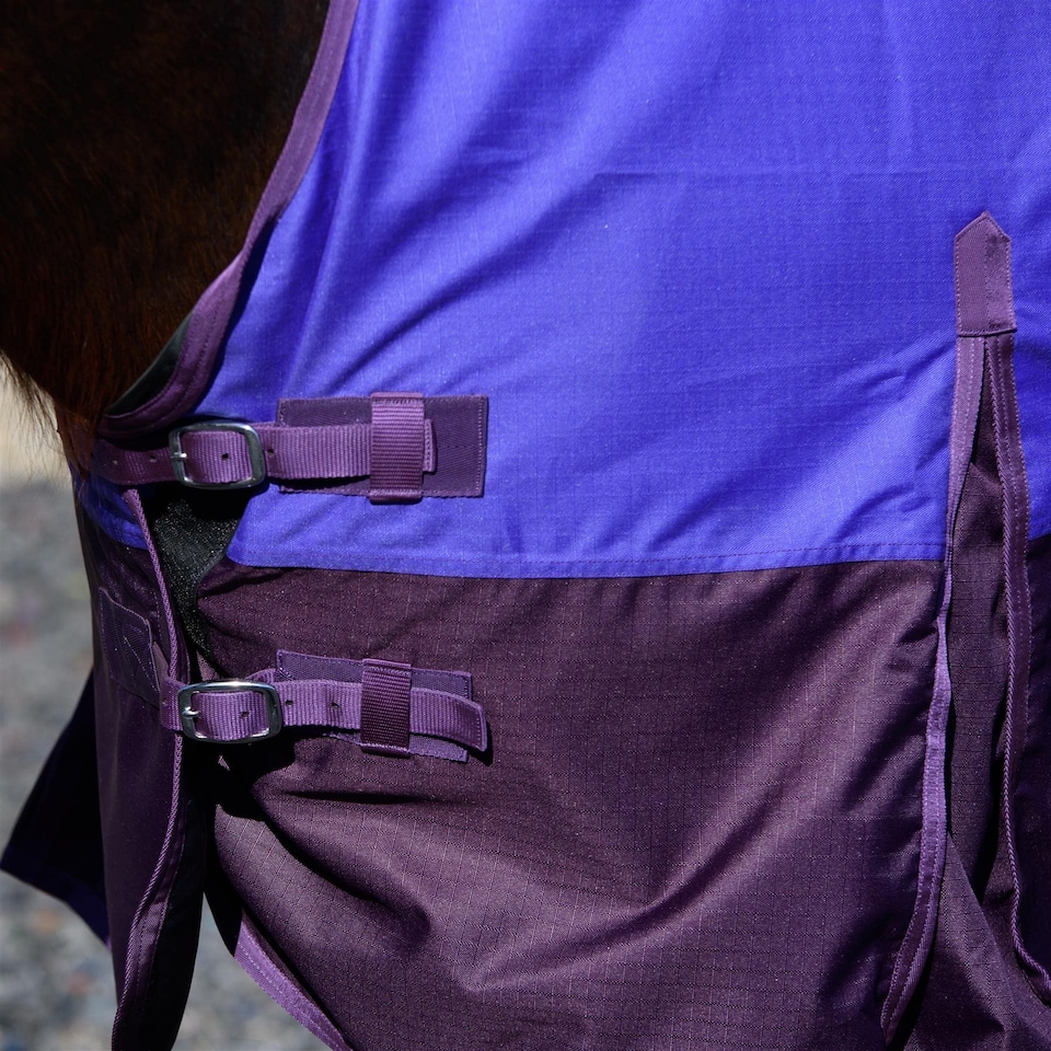 image 1 of eQuitack 600D Waterproof Horse Turnout Rug 0g No Fill Half Neck Purple/Plum 6'6''