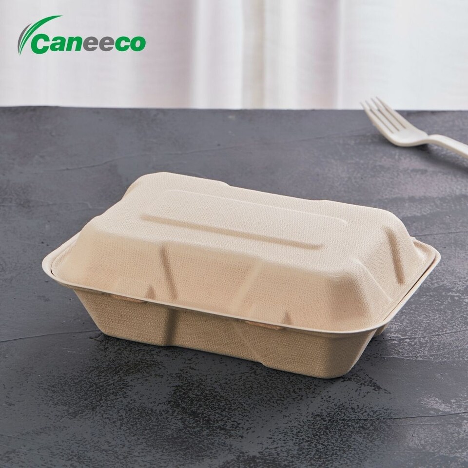 image 1 of Bagasse Sugarcane Takeaway Meal Boxes 9x6 Clamshell Food Containers TUV Home Compostable Certified, Unbleached, PFAS Free & Sturdy for Hot & Cold Food, Restaurants, BBQs Parties