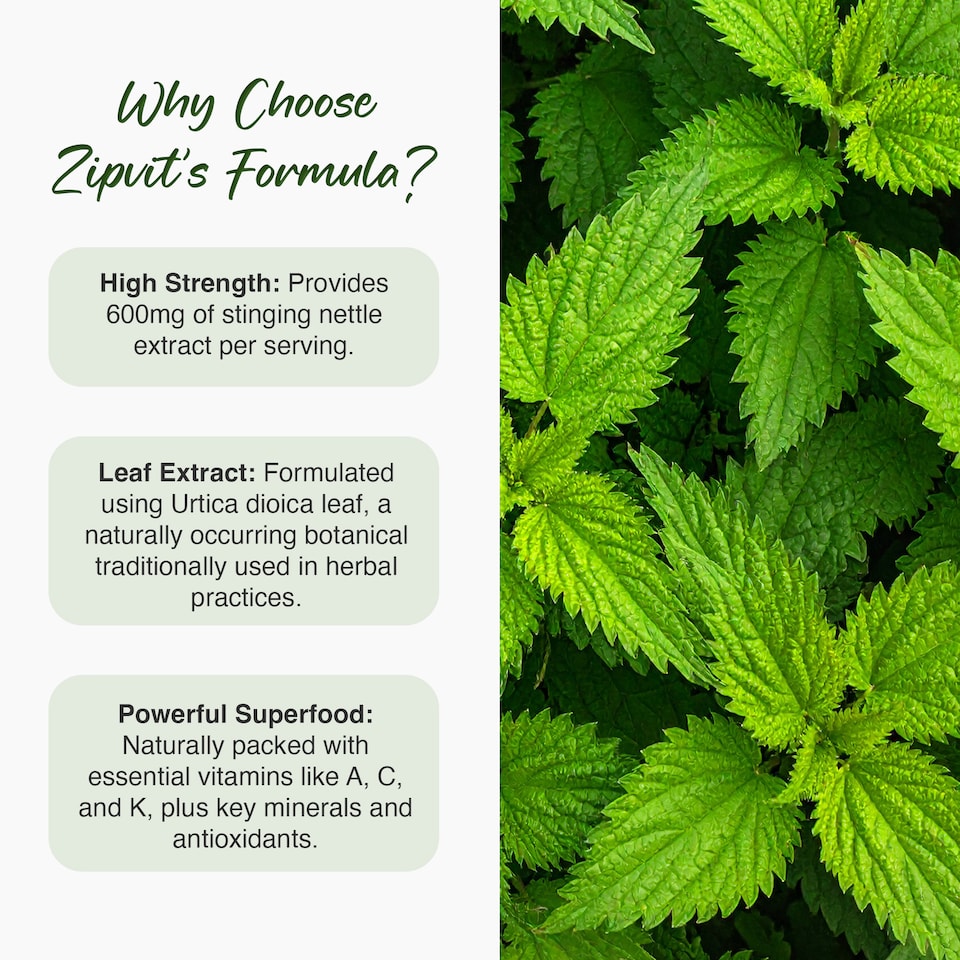 image 1 of Zipvit Stinging Nettle 600mg, Natural Antioxidant & Seasonal Support, 90 Vegan Tablets, 1-Month Supply
