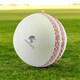image 5 of CRICKET-GIFTS - Large Cricket Ball Squeezy Stress Ball | Relieve Tension & Improve Focus White