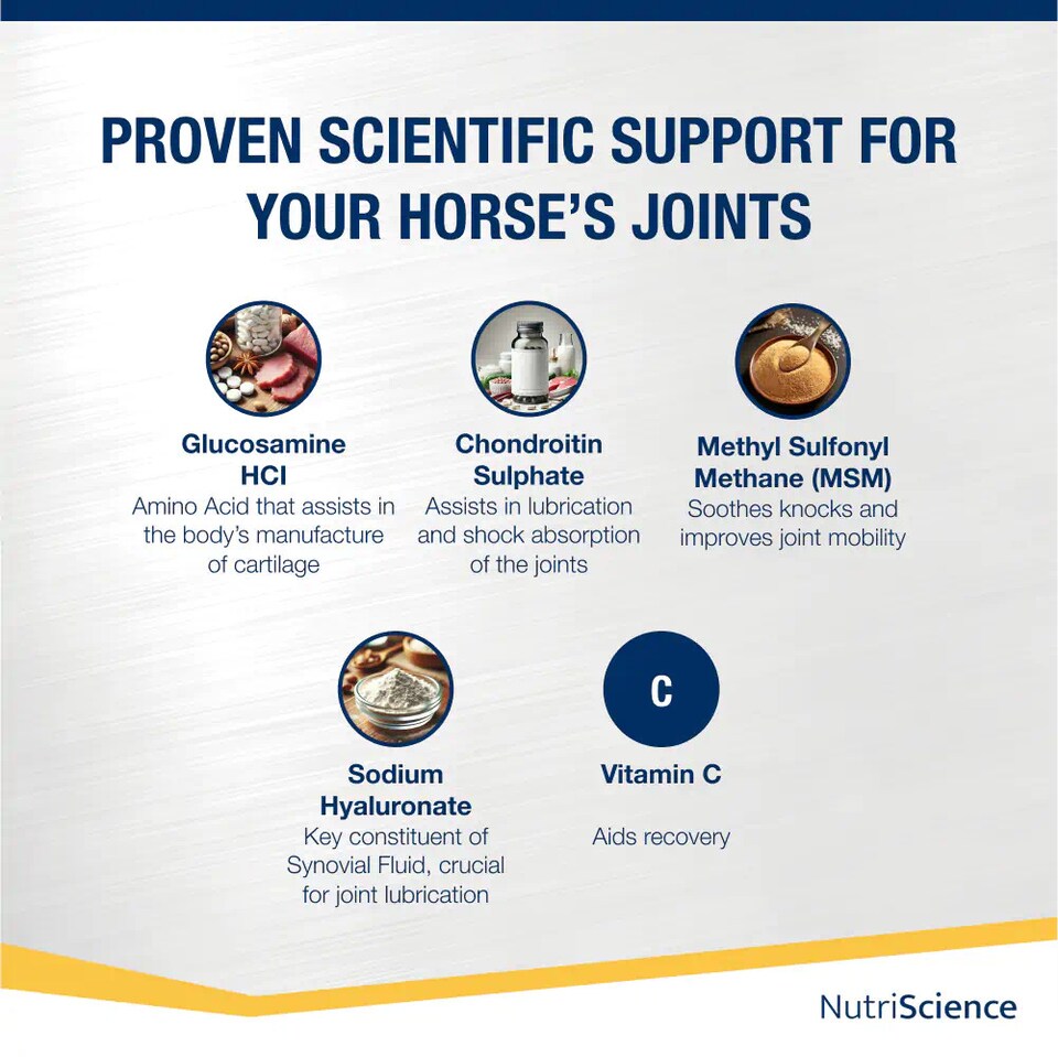 image 1 of NutriScience Horse Joint Supplement Glucosamine MSM Chondroitin Mobility Powder 1.2kg