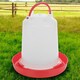 image 5 of 3L Chicken Drinker Feeder Poultry Quails Bird Hen Duck Water Large Red with Handle