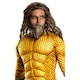image 2 of Aquaman Mens Deluxe Costume - Gold/Green - Standard One Size